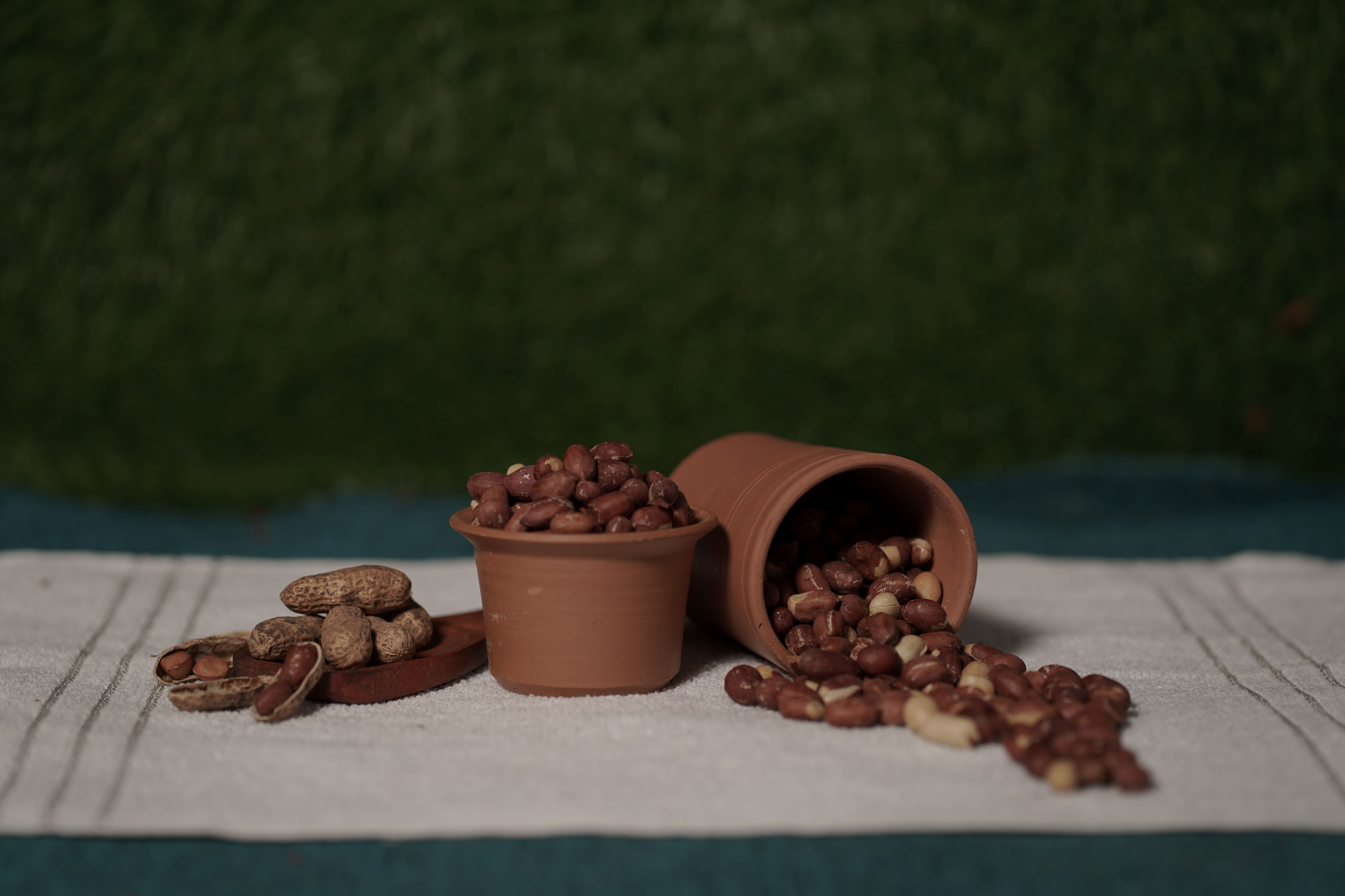 roasted plain peanuts